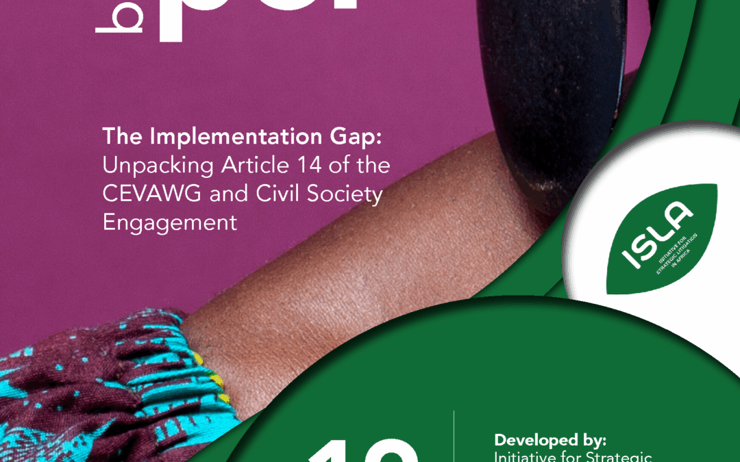 Briefing Paper – The Implementation Gap: Unpacking Article 14 of the CEVAWG and Civil Society Engagement